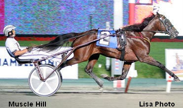 Muscle Hill Prepping