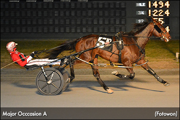 Lifetime Mark For Major Occasion A