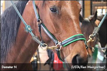 Demeter N Showcasing Versatility