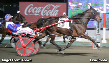 Tender Loving Care Series Continues