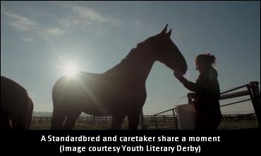 Youth Literary Contest Announced