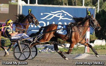 Rookies Ready For Golden Battle