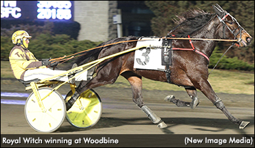 Baillargeon Bags Triple At Woodbine