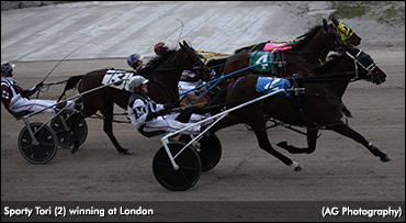 Three In A Row For Sporty Tori