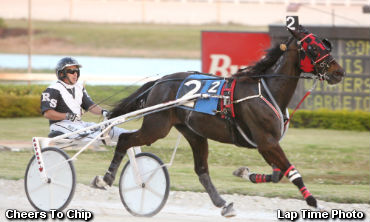 The Cat Has One More Life