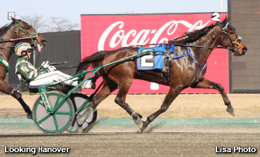 Horse & Groom Kicks Off At The Big M