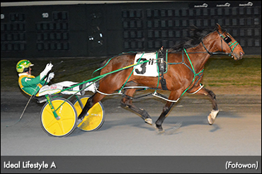 New Mark For Ideal Lifestyle A