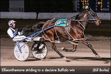 Ellieonthemove Romps At Buffalo