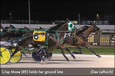 Crisp Mane, Muscles For Life Tops