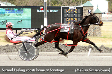 Surreal Feeling Wires Saratoga Gals