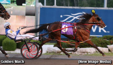 Fillies Flaunt It In OSS Grassroots