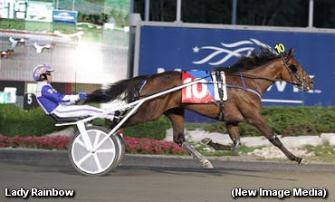 Lady Rainbow Ready For Crown 