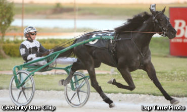 $170,000 Yearling Wins At Pompano