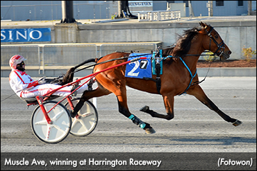 Muscle Ave Headlines At Harrington