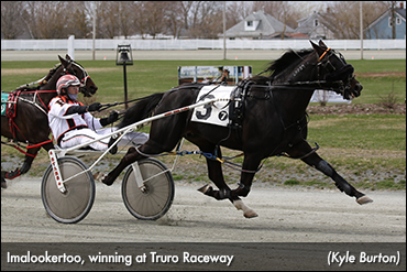 Imalookertoo Heads Truro Opener