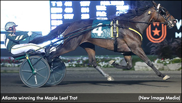 Atlanta Ascends In Maple Leaf Trot