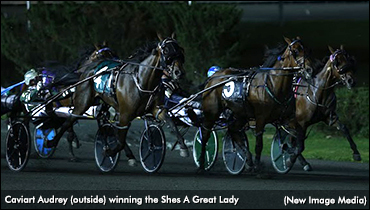 Caviart Audrey Claims ‘Lady’ In DQ
