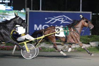 Waples Pumped For Milton Stakes