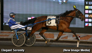 Filly A Chip Off The Old Block?