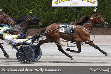 Rebellious Tough At Tioga