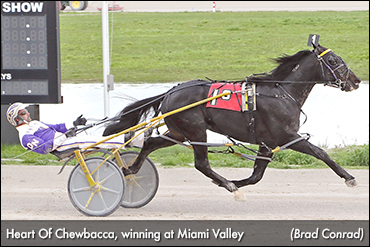 Glamour Boys To Spar At Scioto