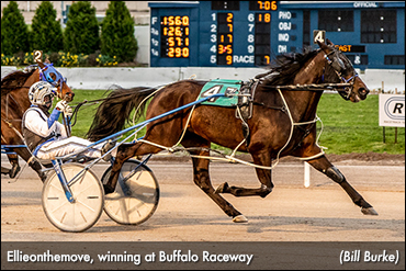 Ellieonthemove Rebounds At Buffalo