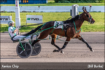 Xenias Chip Bests Buffalo Gals