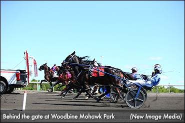 Trotters, Fillies Flood Mohawk