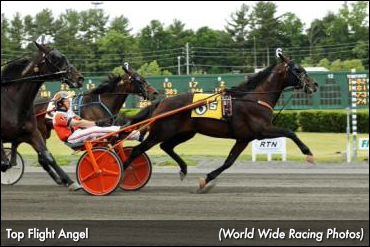 Top Flight Angel Rebounds, Upsets