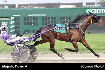 Five In A Row For Majestic Player A