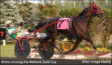 Sintra Sweeps To Gold Cup Score