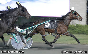 The Platinum Guy A Hot Commodity