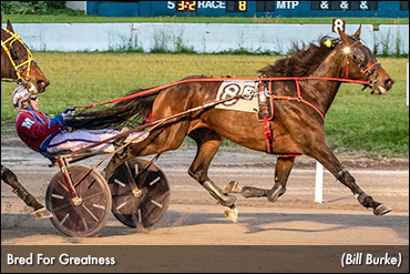 Surprise Win For Bred For Greatness