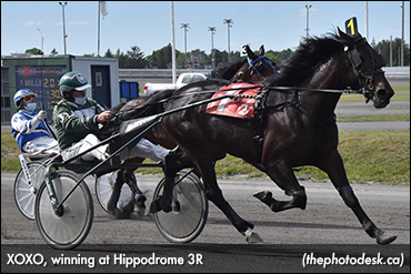 A Tale Of Two Fillies At 3R
