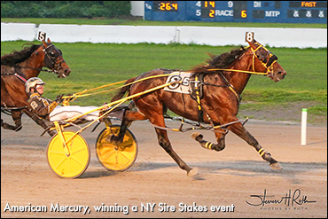 'Mercury' Heats Up In NYSS
