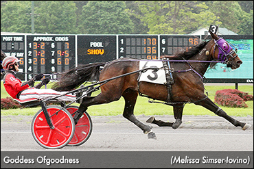 Trotters On Display At The Spa