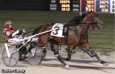 Maywood Pace Elim To Cotton Candy