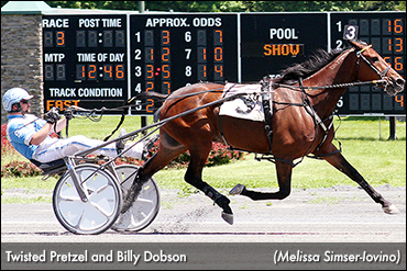 Twisted Pretzel, Dobson In Spa Spotlight