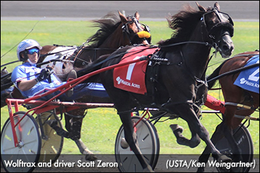 Wolftrax Paying Off For Wellwood