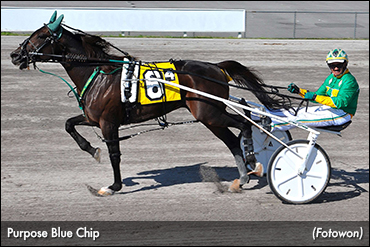 Purpose Blue Chip Cruises At Vernon
