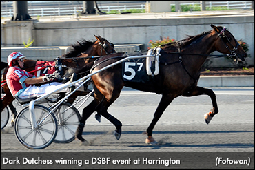 Dark Dutchess Sweeps DSBF Prelims