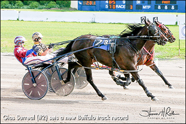 Fast Fillies Fly At Buffalo Fast Fillies Fly At Buffalo