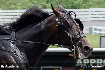 Uncle Peter Progeny Impress On Debut Uncle Peter Progeny Impress On Debut