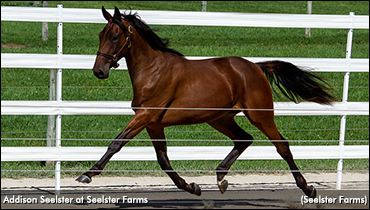 'Addison' Tops Tuesday London Session 