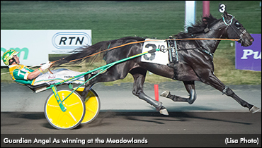 Meadowlands Handle Tops $4 Million