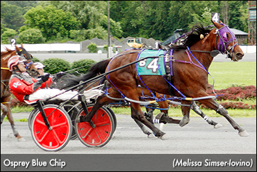 'Osprey' Repeats At Saratoga