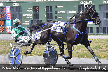 Platine Alpha Tackles Older Mares