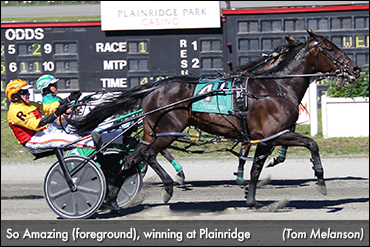 Ranger Sweeps Plainridge Features