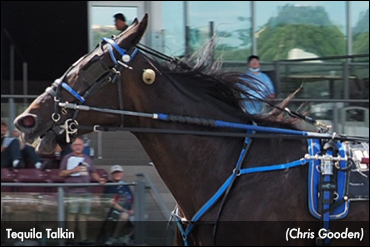 Tequila Talkin A Strong Meadows Winner