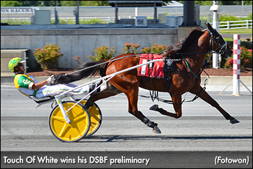 Delaware Trotters In Harrington Spotlight
